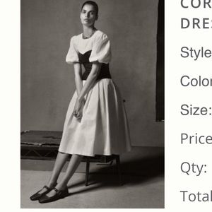 Anthropologie corset dress.Never been worn.Great lining.Puffy sleeves.